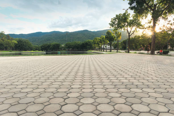 Best Custom Driveway Pavers  in Soda Springs, ID